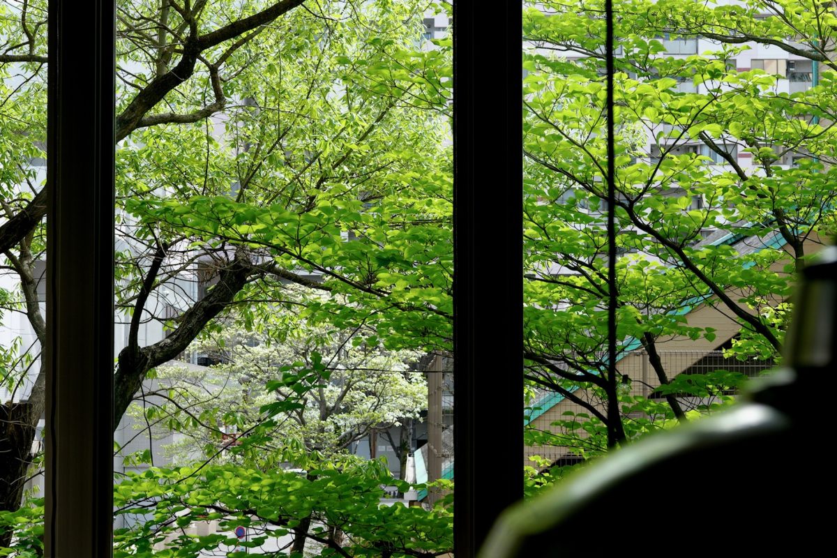 2025年4月17日（木）