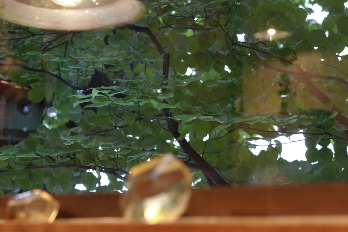 2025年9月25日（木）