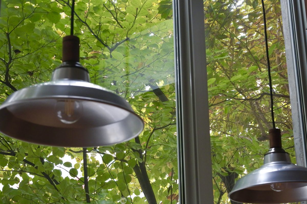 2025年11月6日（木）