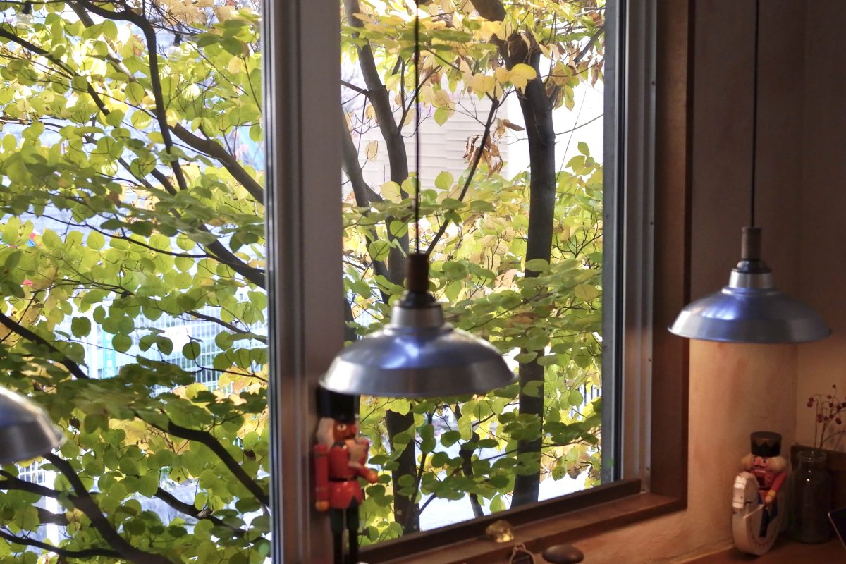 2025年11月20日（木）