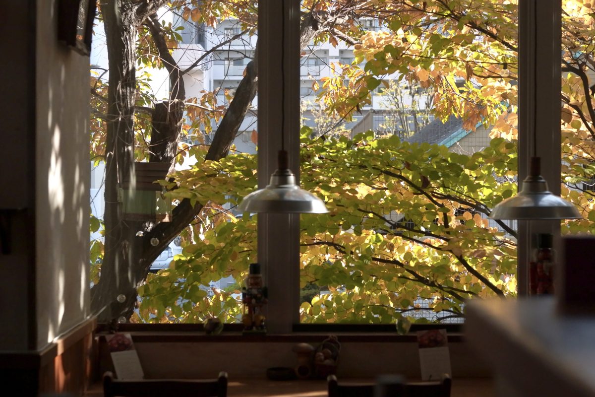 2025年11月27日（木）